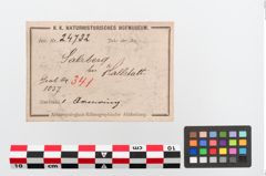 Etiketten zu Bronzebuckelarmreif (NHMW-PRAE-024732)